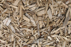 biomass boilers Hairmyres